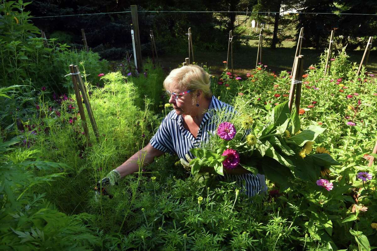 Camille Ackermann cuts flowers in the garden behind her home in Madison on Aug. 3, 2022.