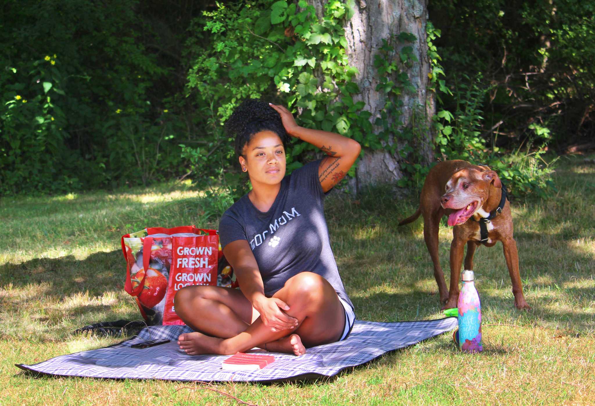 Middletown revives dog park proposal after more than 15 years - Vimarsana News