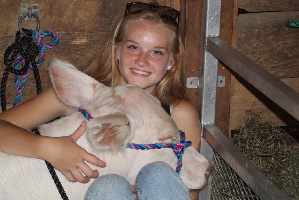 Bridgewater Country Fair returns after 2-year hiatus, and volunteers say it'll be 'bigger and better' - Vimarsana News
