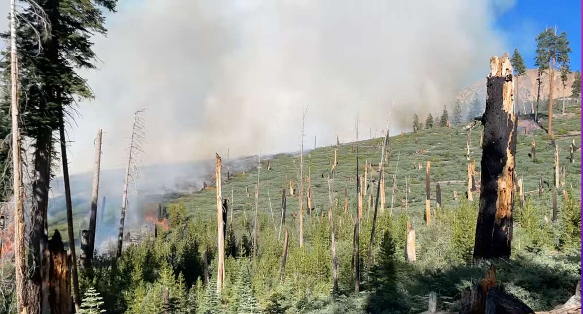 California's Red Fire ignited in Yosemite National Park on Aug. 4, 2022.