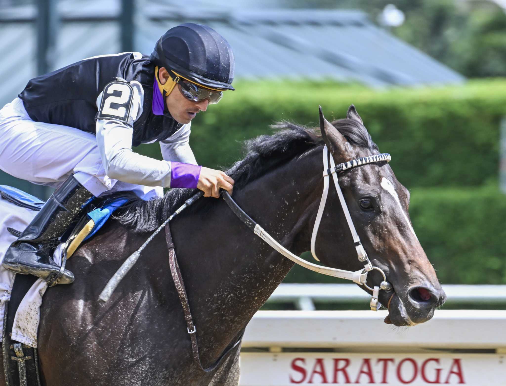Damon's Mound pulls off Special win at Saratoga - Vimarsana News
