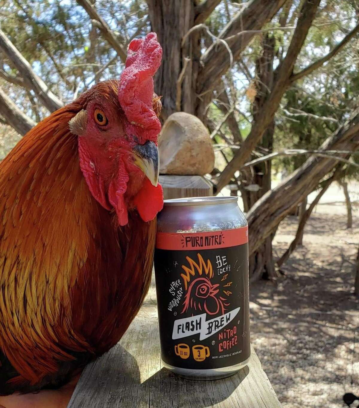 Puro Nitro es el único producto de San Antonio en las finales de HEB Quest for Texas.  El ganador será elegido el 24 de agosto. 