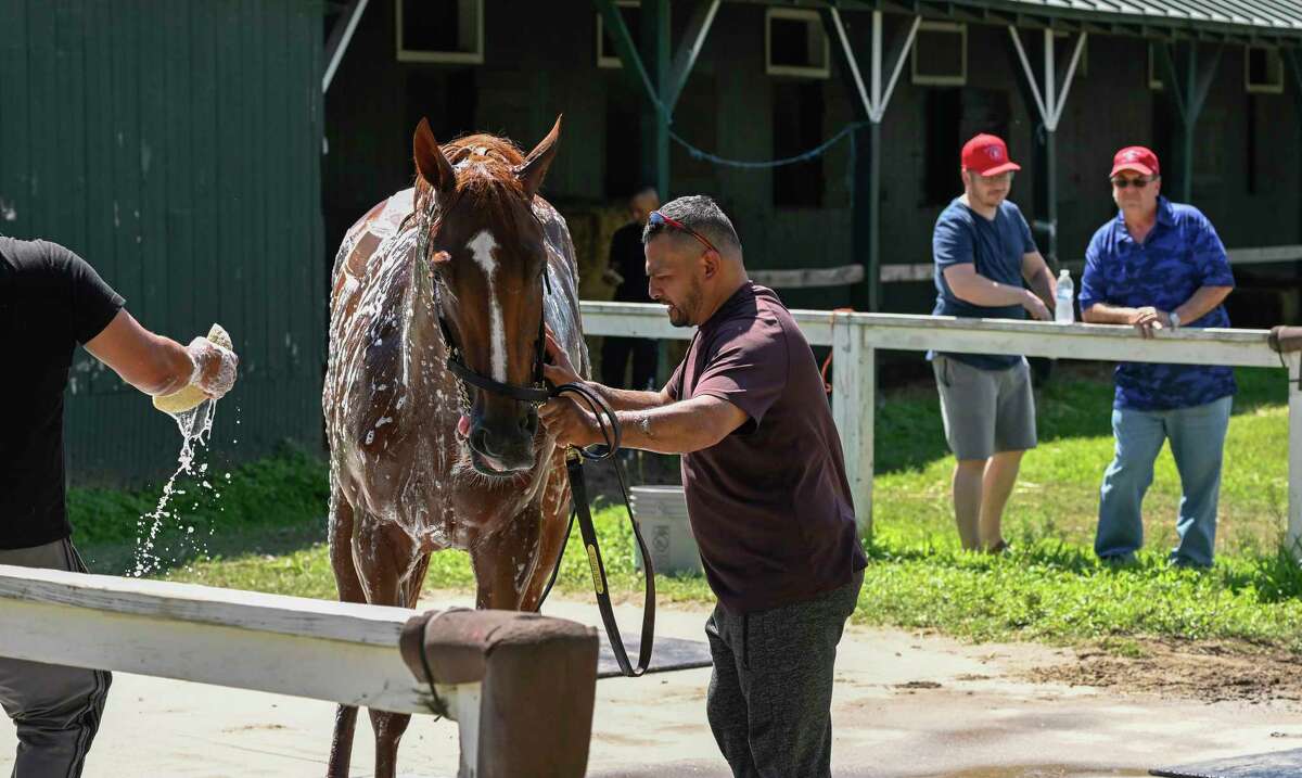 2022 Kentucky Derby winner Rich Strike gets a bath after arriving from Kentucky at the Saratoga Race Course Sunday Aug. 14, 2022 in Saratoga Springs N.Y. Rich Strike is scheduled to run in The Travers Stakes on Saturday the 27th. Photo Credit: Photo Special to the Times Union by Skip Dickstein