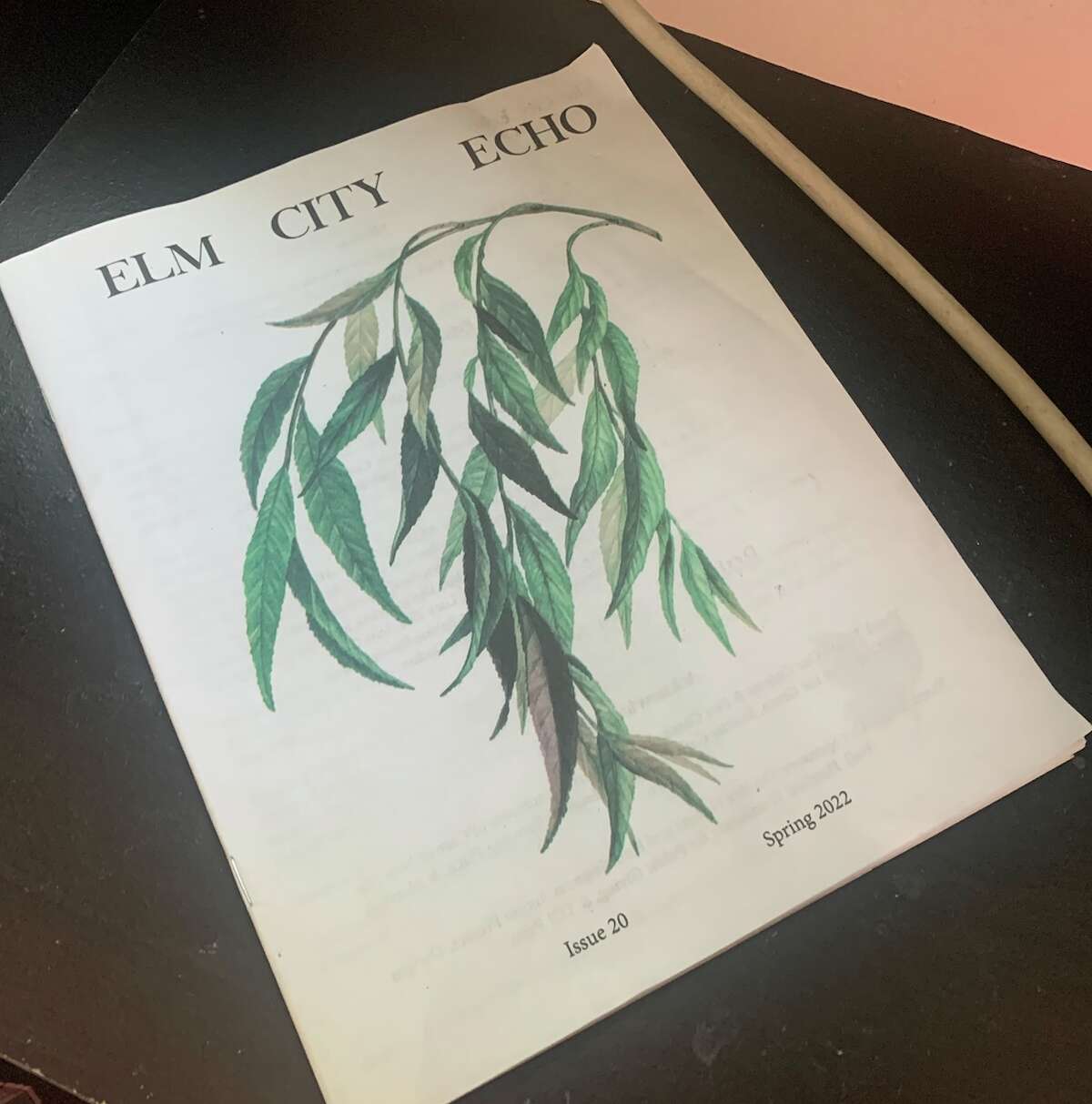 The 20th edition of Elm City Echo.