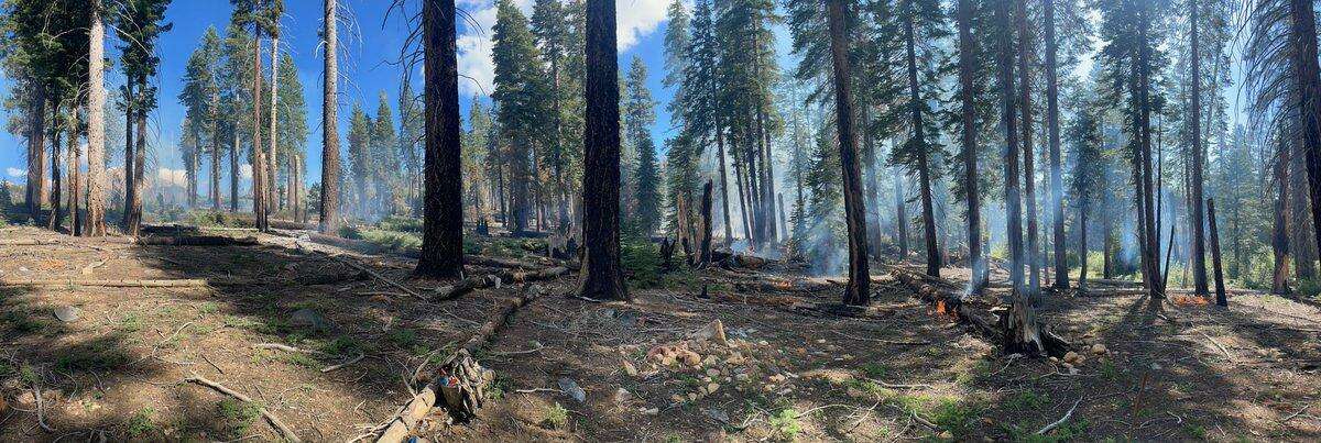 The Red Fire burning in Yosemite National Park grew to more than 250 acres.