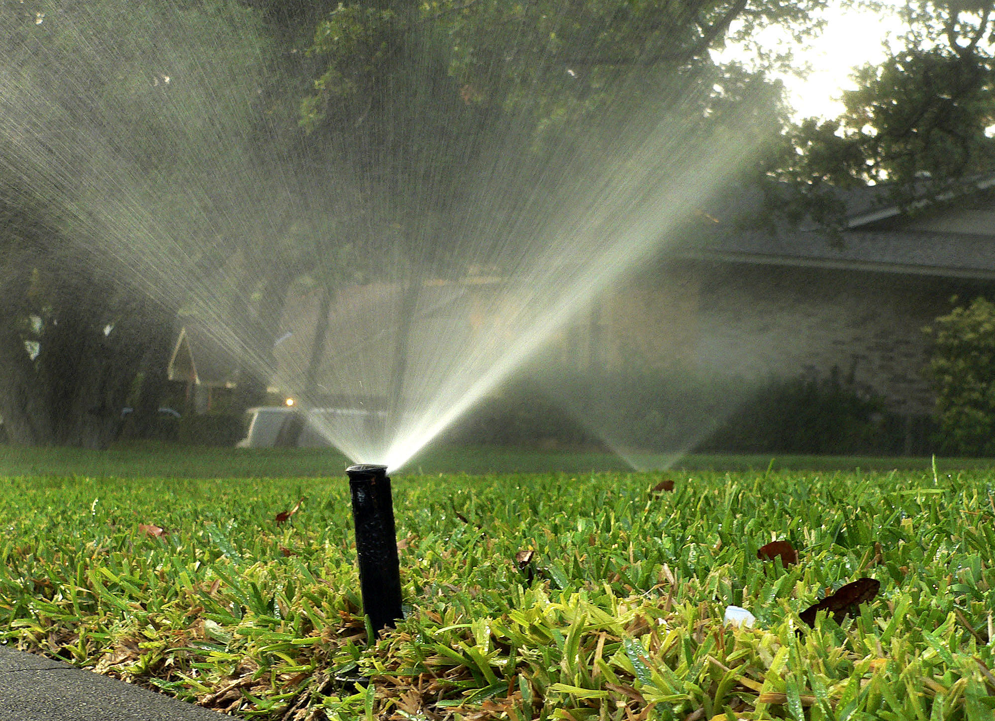 Keep lawn, grass alive during drought in San Antonio - Vimarsana News