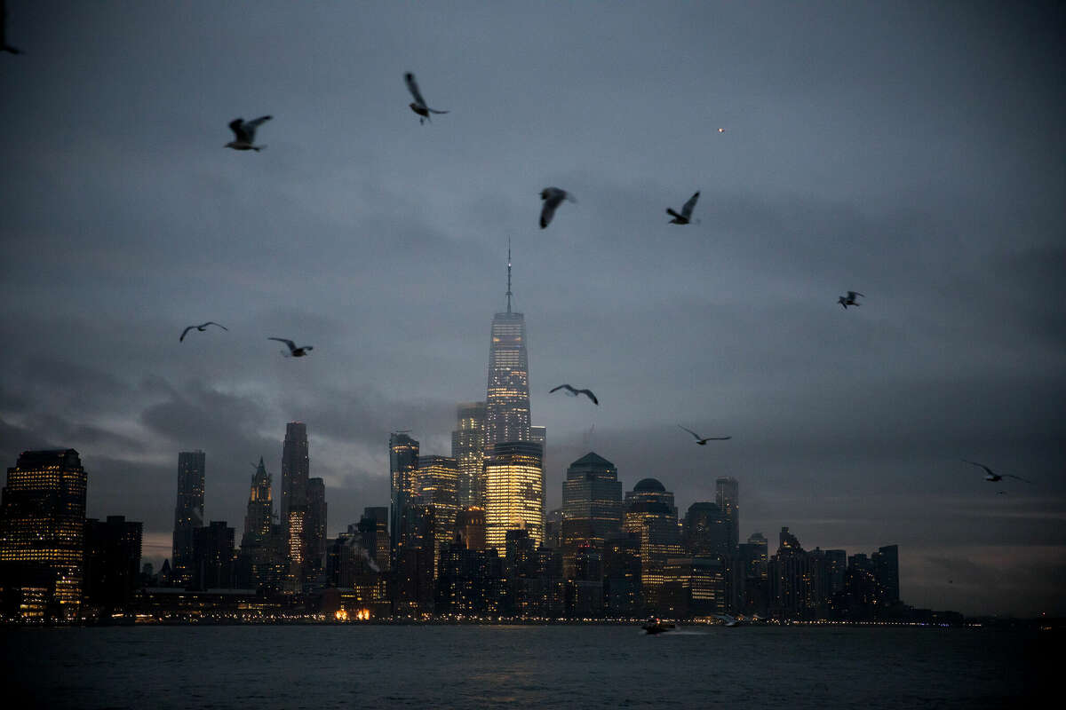 Lights Out New York is a statewide initiative requiring state-owned and -managed buildings to reduce the use of artificial light in an effort to help migrating birds. It’s an offshoot of a similar program spearheaded by New York City Audubon in recent years.