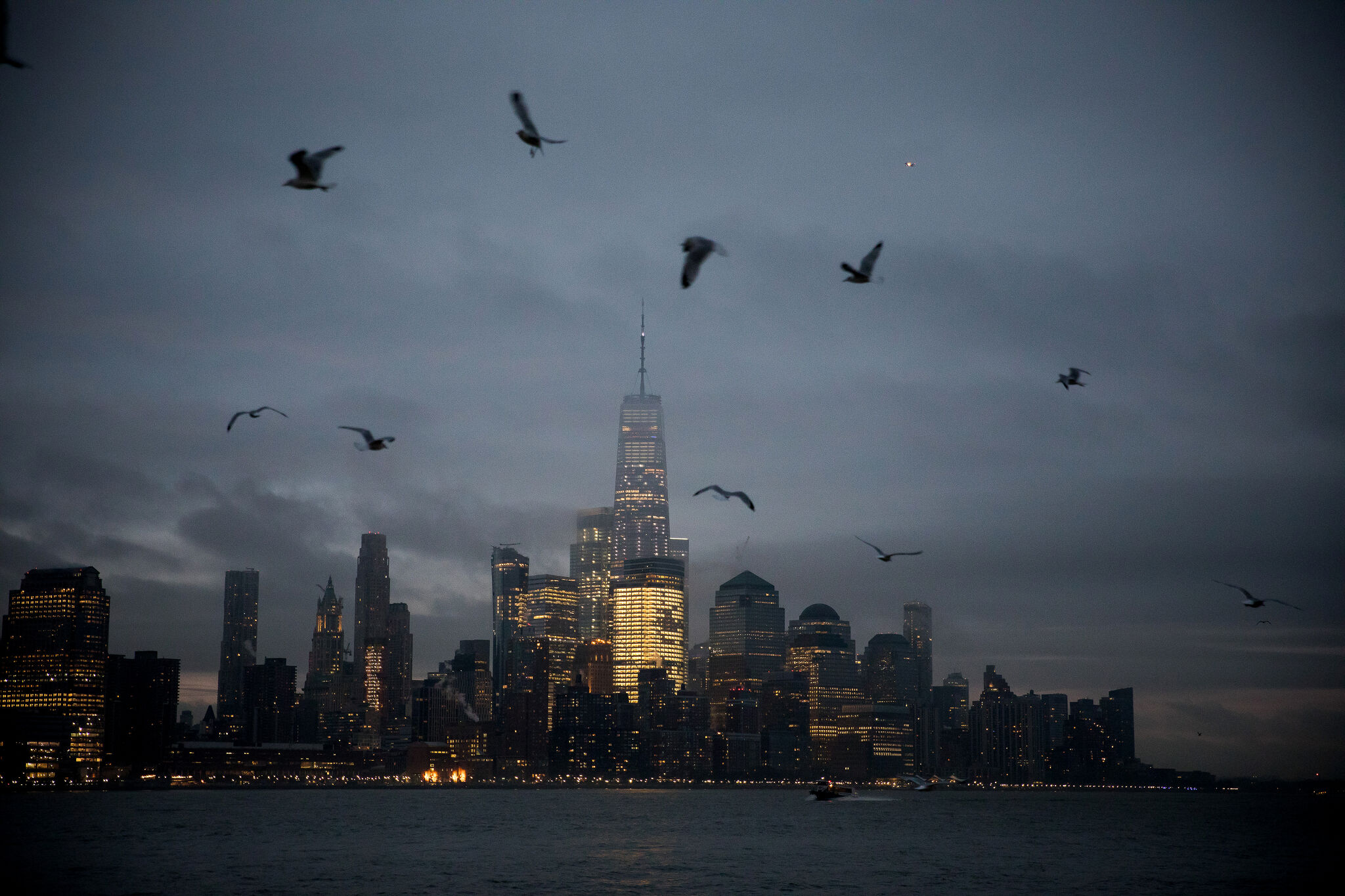 Lights Out New York initiative intended to benefit birds