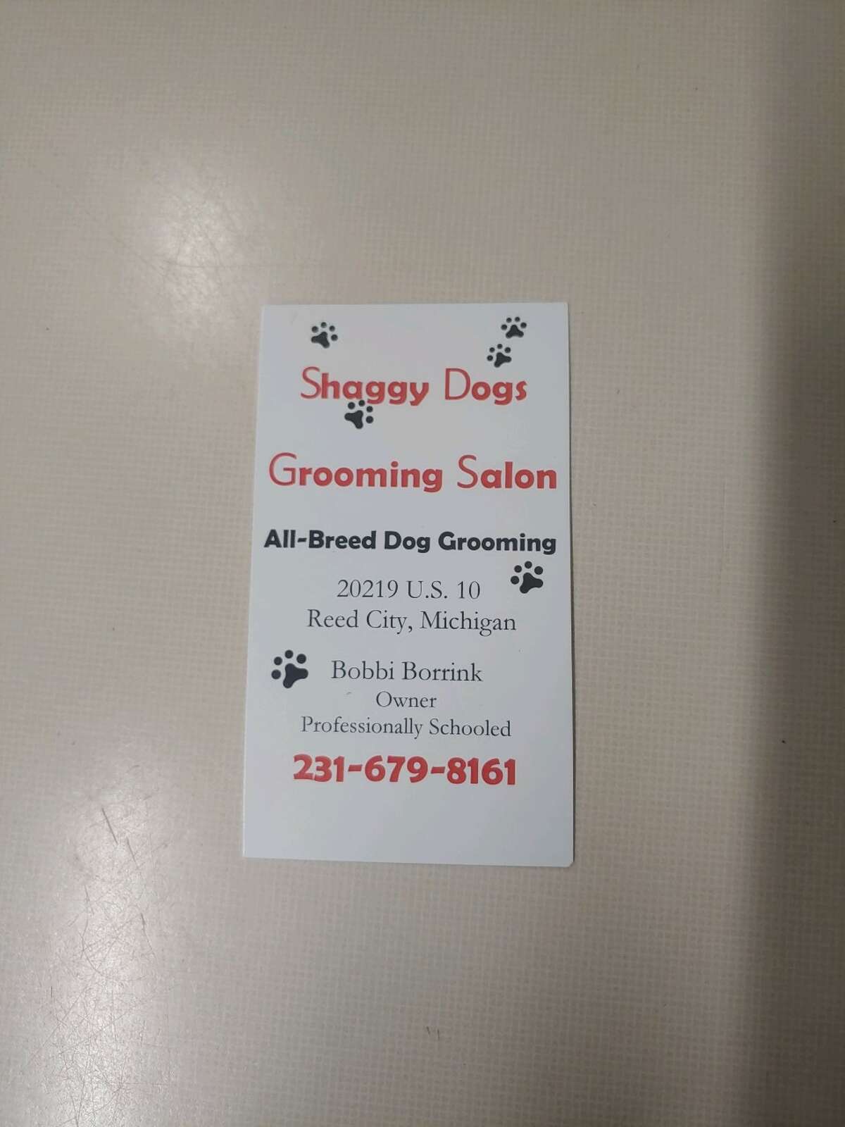 Shaggy Dogs Grooming Salon reopens in Reed City after 10 years