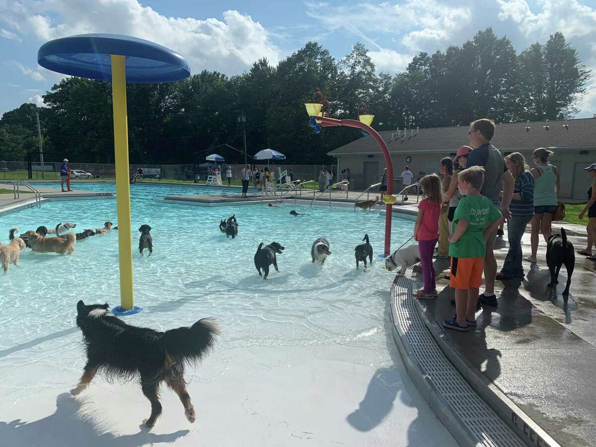 The West Hartford Dog Park Coalition will again host its annual pooch plunge fundraiser on Aug. 22. This year, they are supporting plans to open a temporary dog park at the former St. Brigid School property.