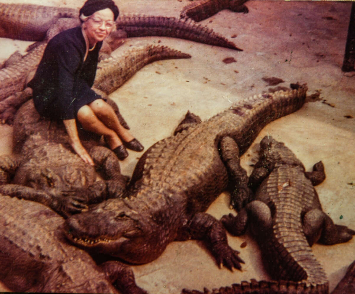 Vera Davis is shown with gators at Alligator Garden, a roadside attraction that was on Broadway next to the Witte Museum.