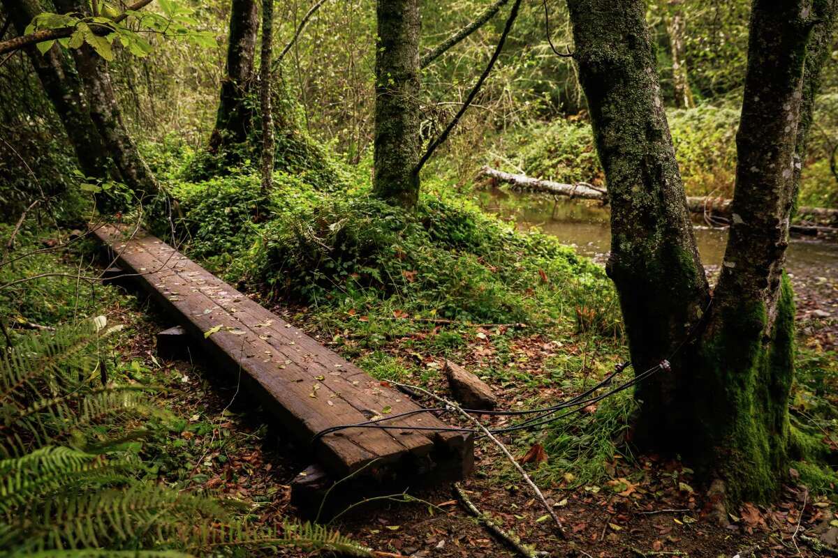 A plank of wood that is used for several months out of the year to cross the creek along the Dipsea Trail to Muir Woods in Mill Valley. After four decades, a plan to replace the plank with a proper bridge is gaining steam — and fundraising.