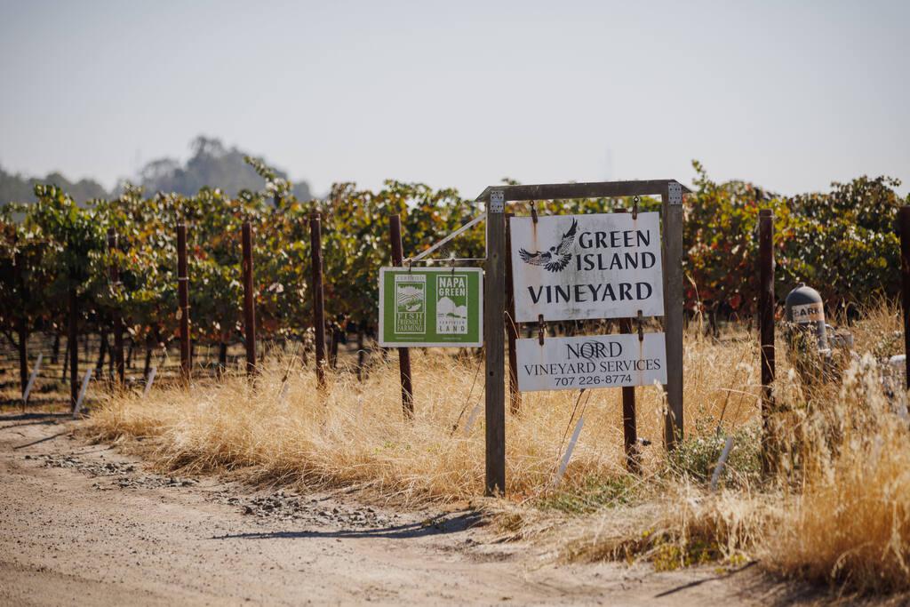 Why Green Island Vineyard may threaten Napa's wine industry - Vimarsana News