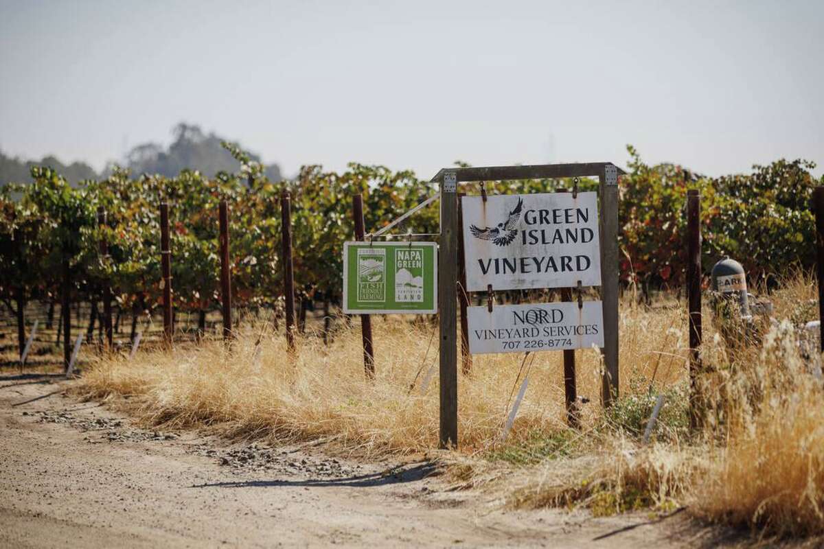 The Green Island Vineyard is in the center of a fierce debate in Napa County.