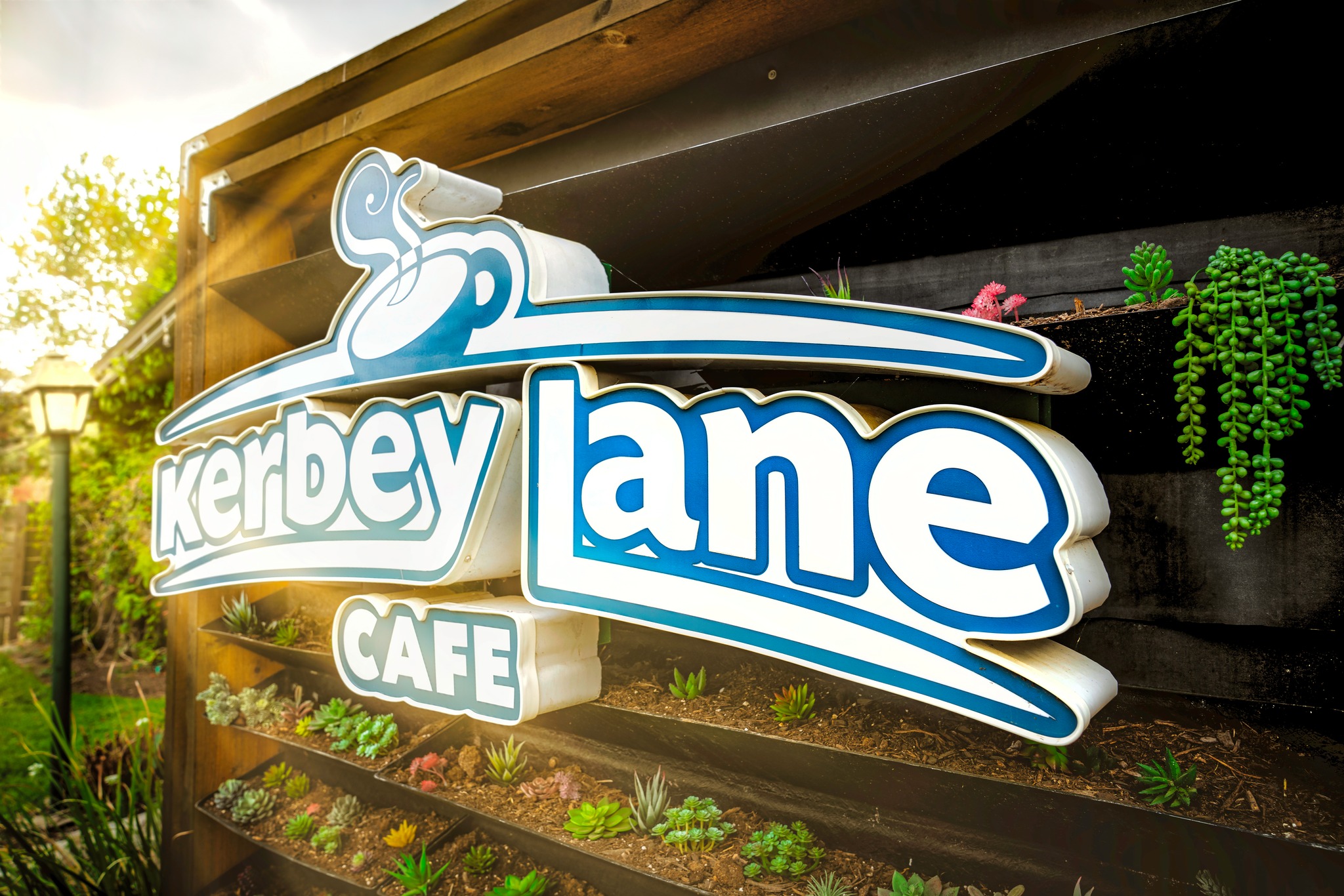 Austin's Kerbey Lane opens first San Antonio location - Vimarsana News