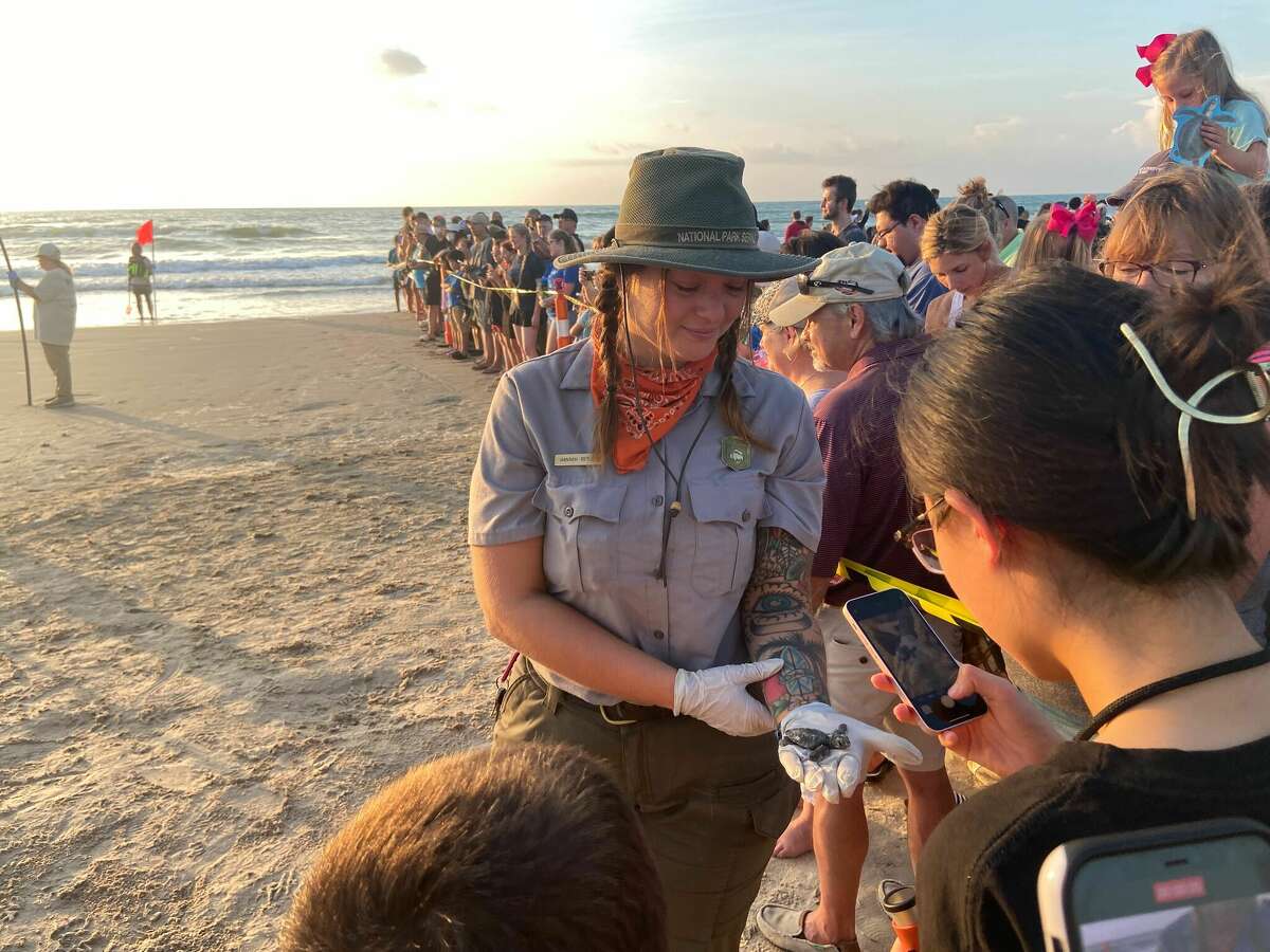 Hannah Berger, a seasonal biological technician, displays a Kemp's ridley hatchling to the crowd at the public release August 9.