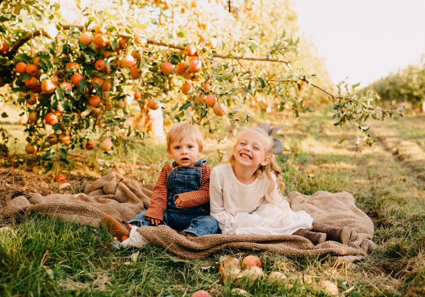 where-to-pick-apples-in-the-bay-area-and-northern-california