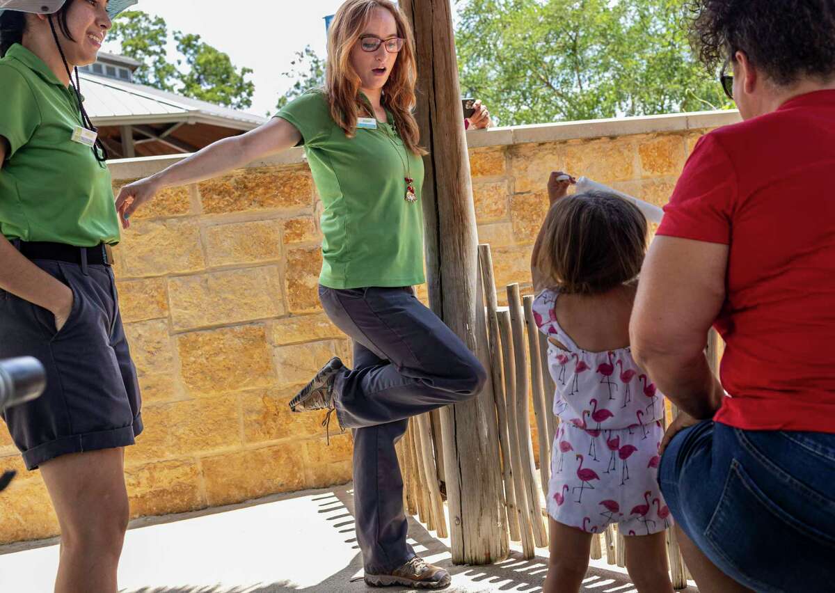 Jennifer Soules, an actor educator at the San Antonio Zoo who identifies as autistic, mimics how a flamingo stands to zoo guests feeding the flamingos at the zoo.