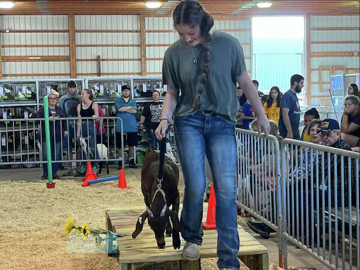 Kids representing area 4-H groups compete in the youth goat obstacle course on Friday, Aug. 19, 2022 at the Midland County Fair.