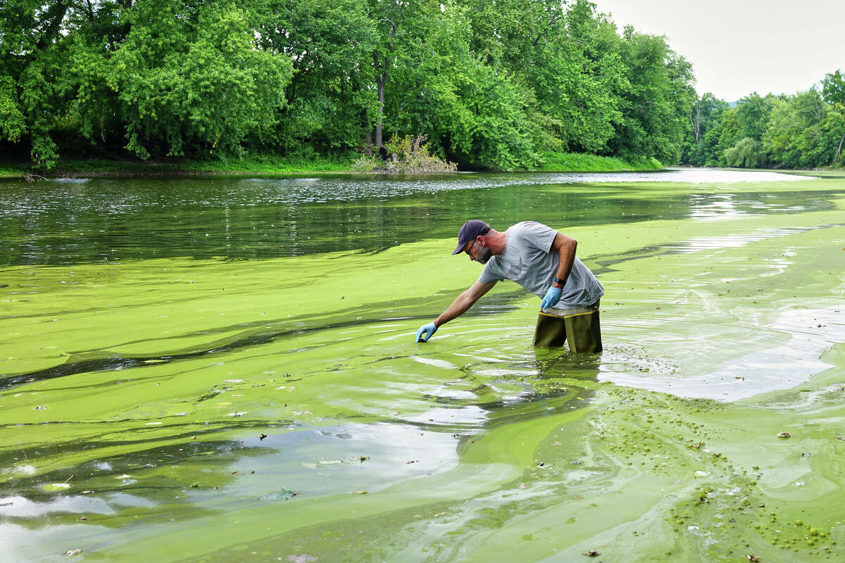 Riverkeeper's Dan Shapley collects samples on the Wallkill River in August 2022 to test for cyanobacteria. It's unclear if this year's mild winter season will lead to toxic algal blooms in the summer.