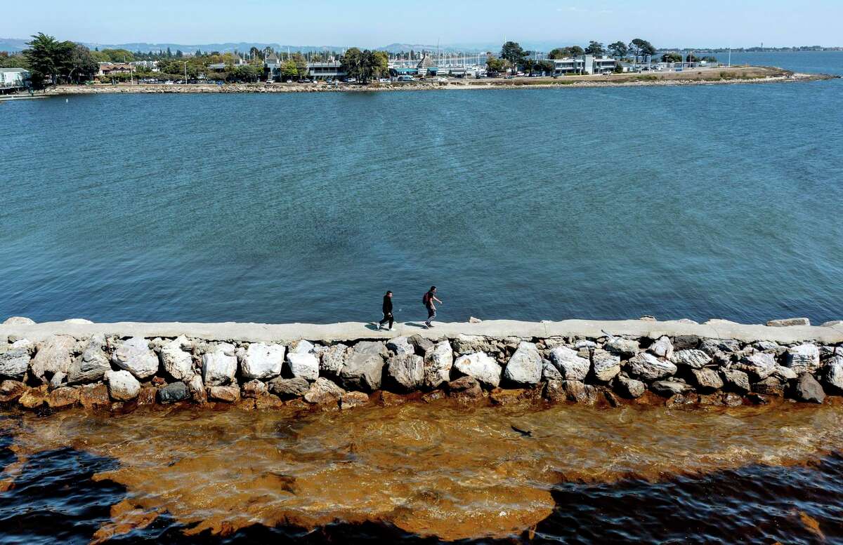 在阿拉米达的Encinal Boat坡道附近的旧金山湾，一个防波堤将棕色的水和绿色的水分开。