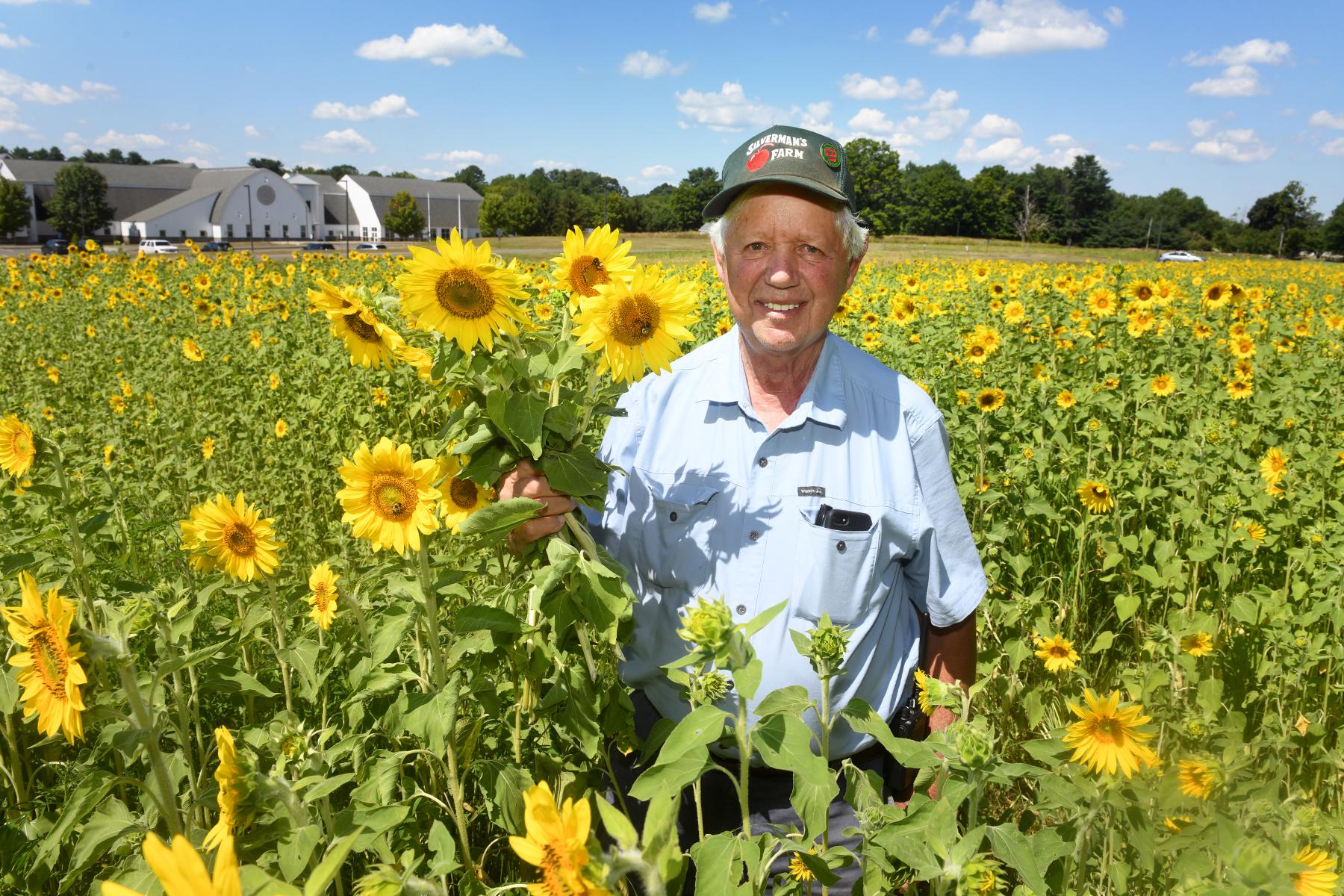 Easton's Silverman's Farm plants sunflower to honor Ukraine - Vimarsana News