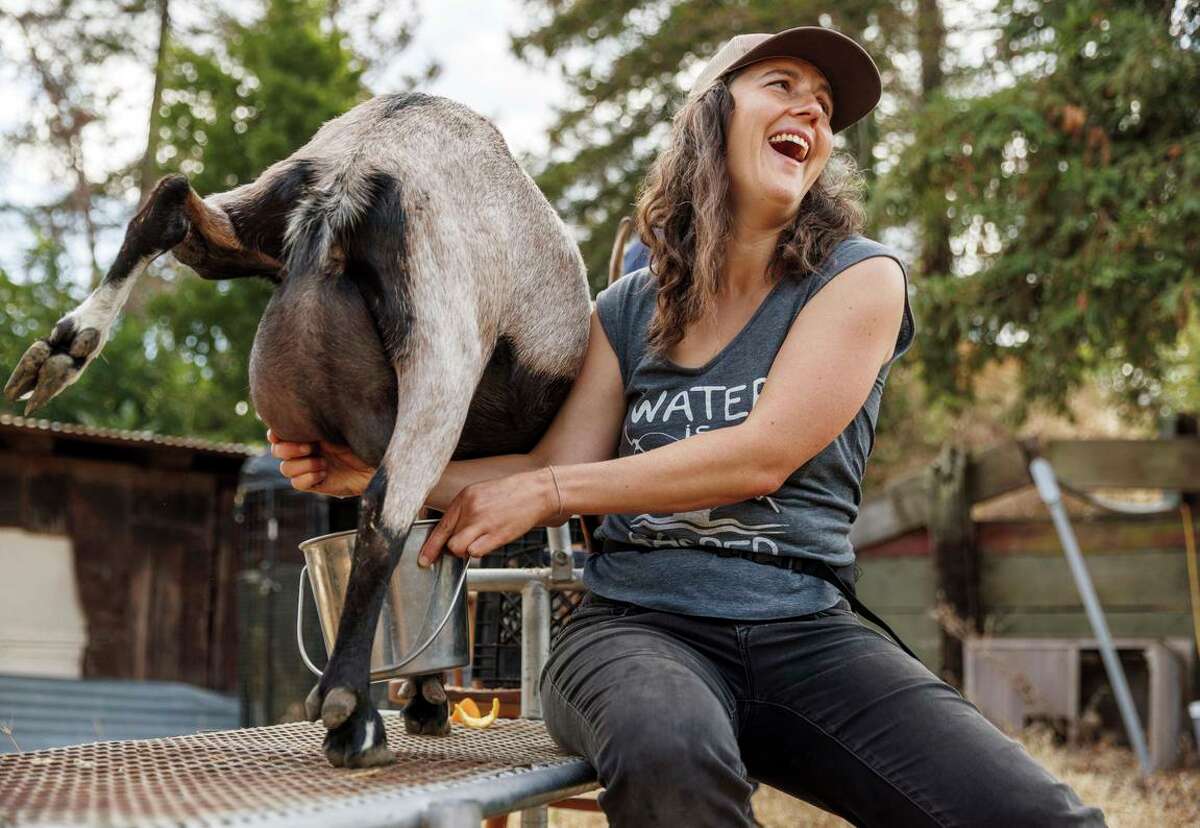 Erin Axelrod milks a goat at the Wild & Radish eco-village in El Sobrante. Axelrod has a retirement account that gives her freedom to put her money in specific investments that align with her values, not just mutual funds.