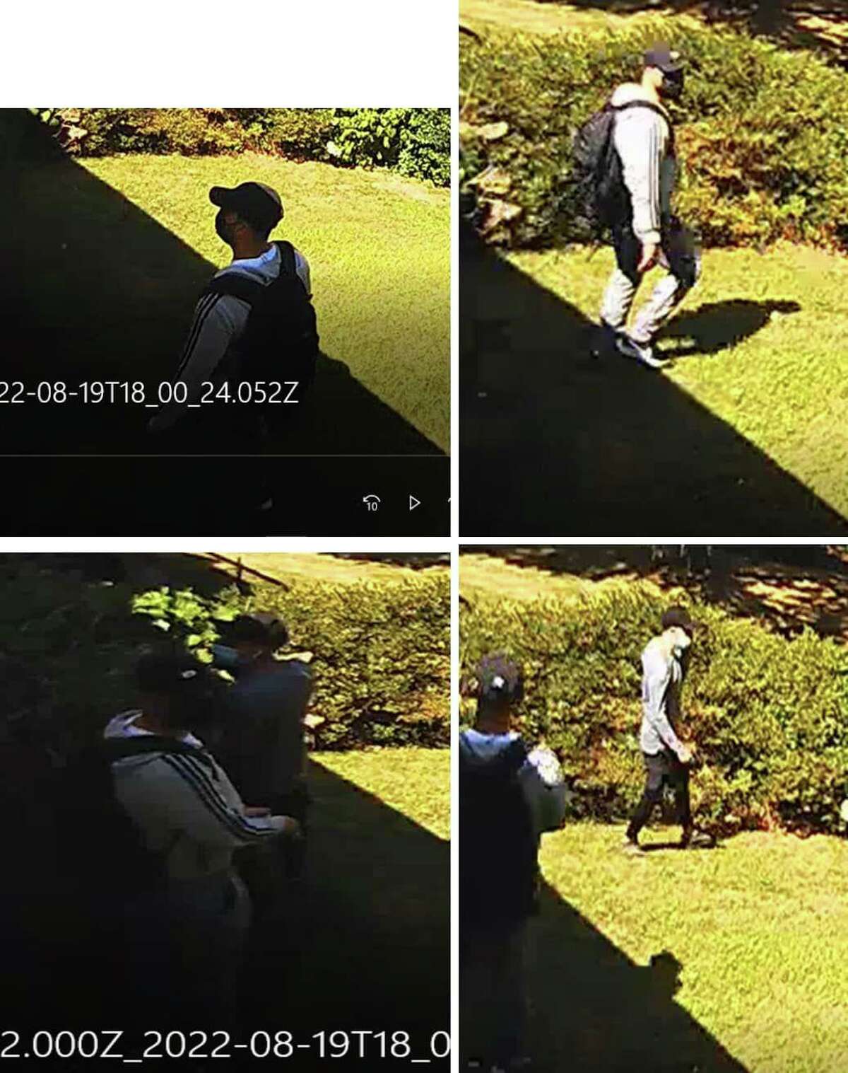 Naugatuck police release photos of home burglary suspects