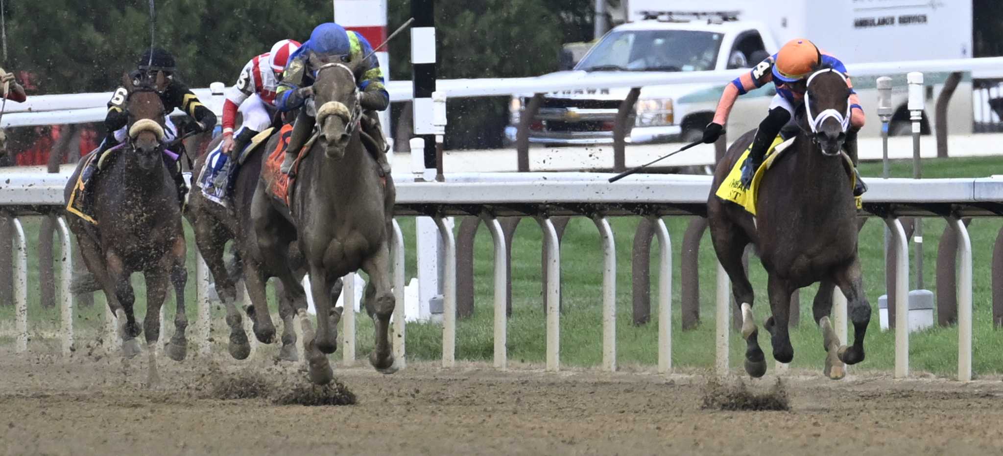 Nest feathers account with win in Alabama at Saratoga - Vimarsana News