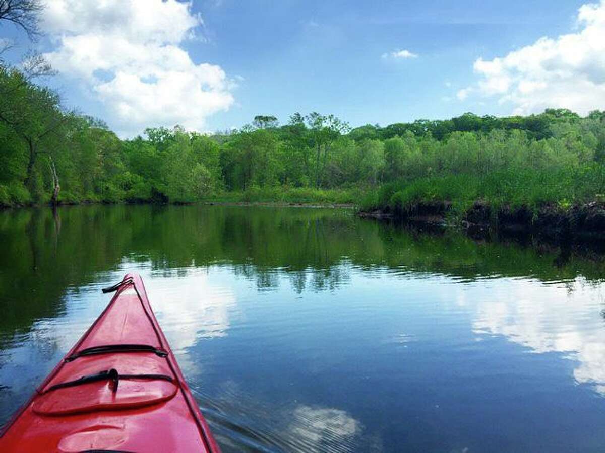 Escape to Nature's Embrace: Unwind at Higganum Meadows Wildlife Area