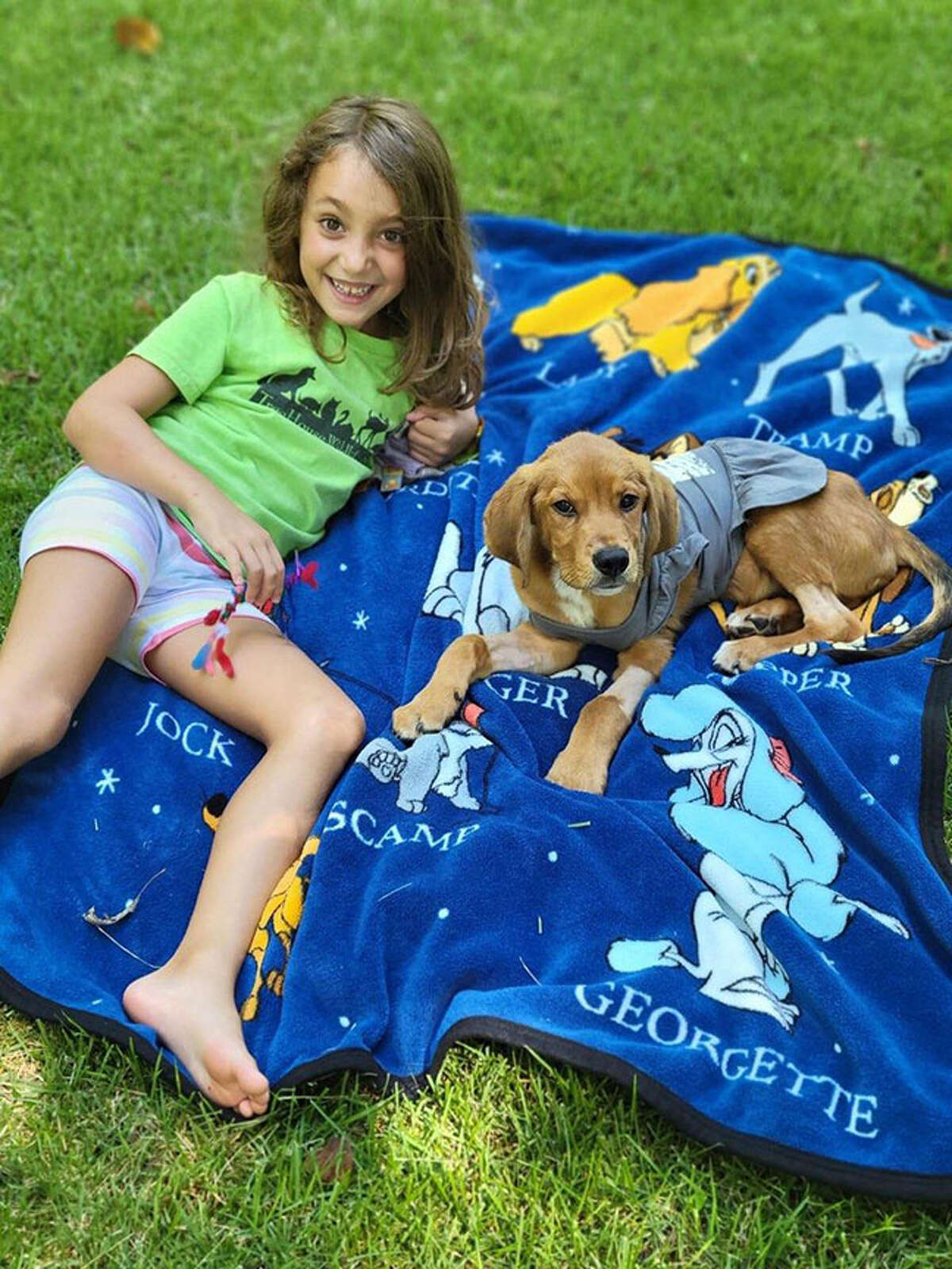 Edwardsville Mayor Art Risavy adopts rescue dog from Partners for Pets