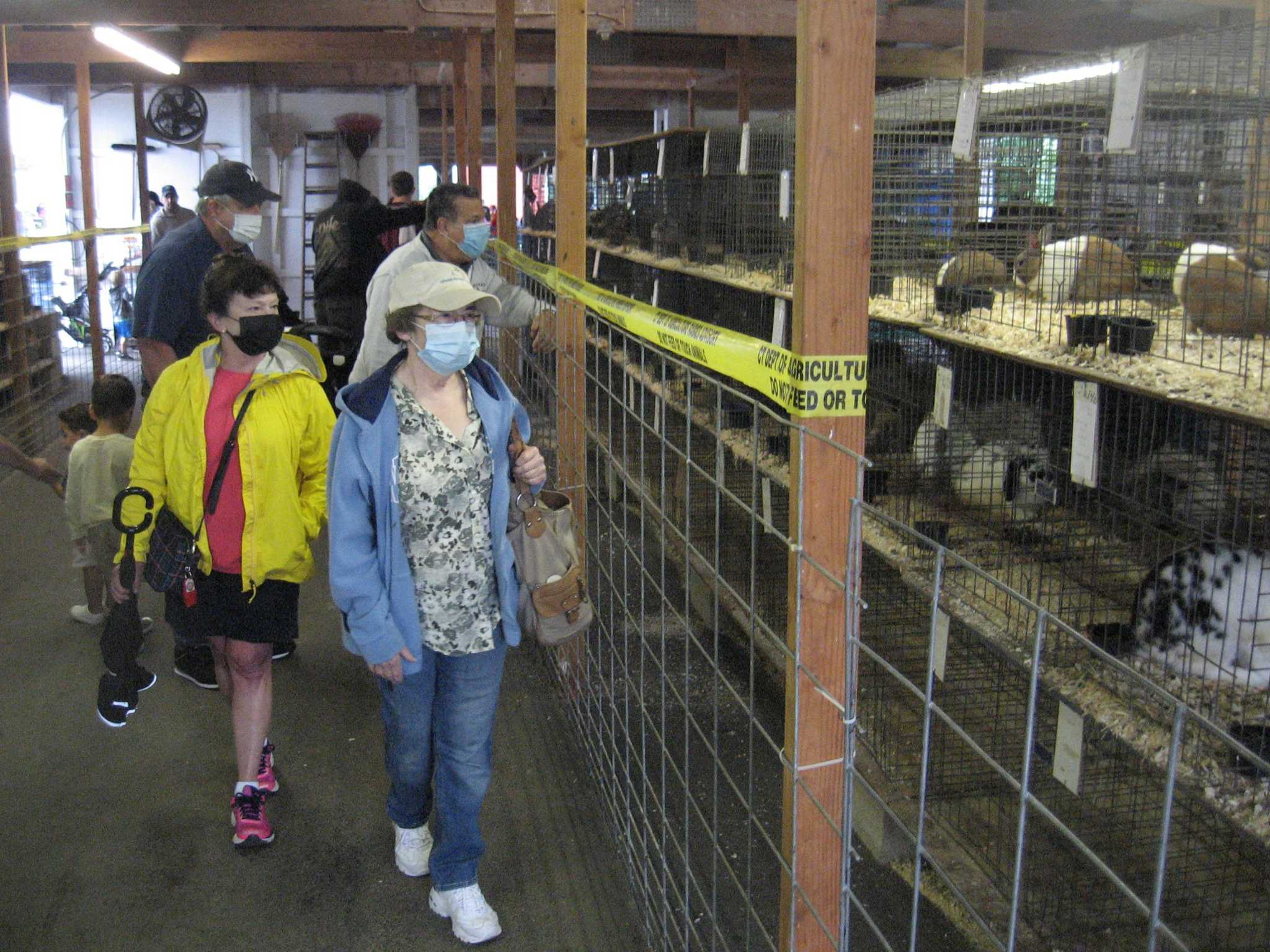 Goshen Fair returns Sept. 2-5 to fairgrounds - Vimarsana News