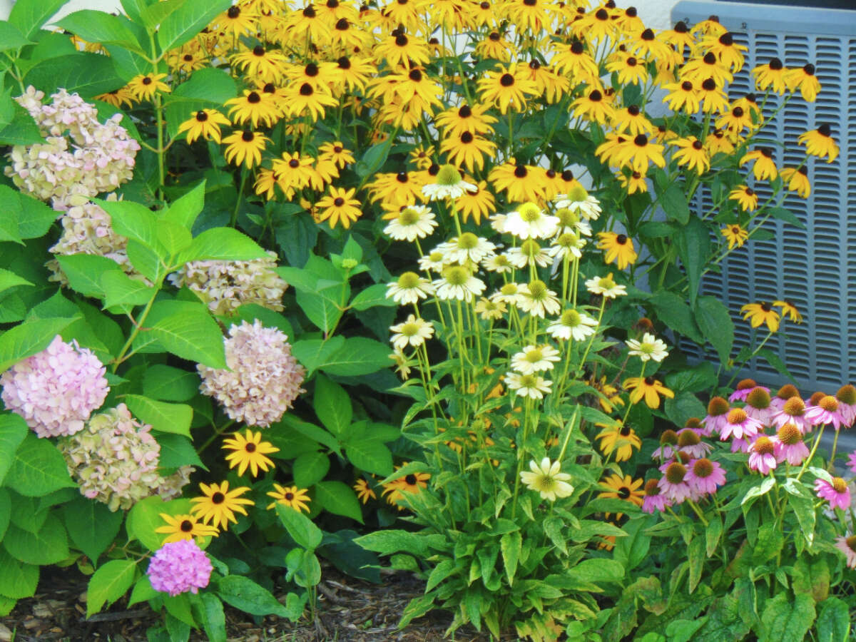 MasonLake Conservation District offer community events