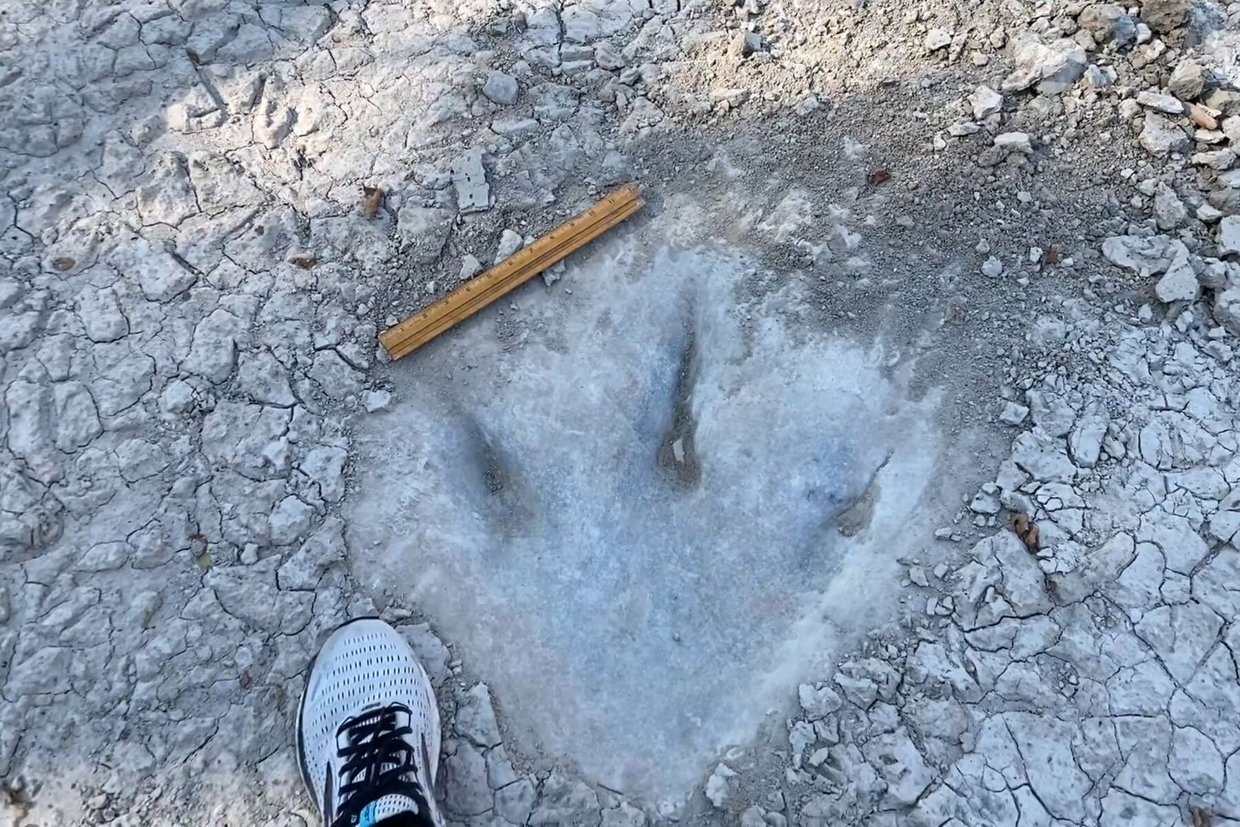 Dinosaur tracks revealed in dried up Texas river