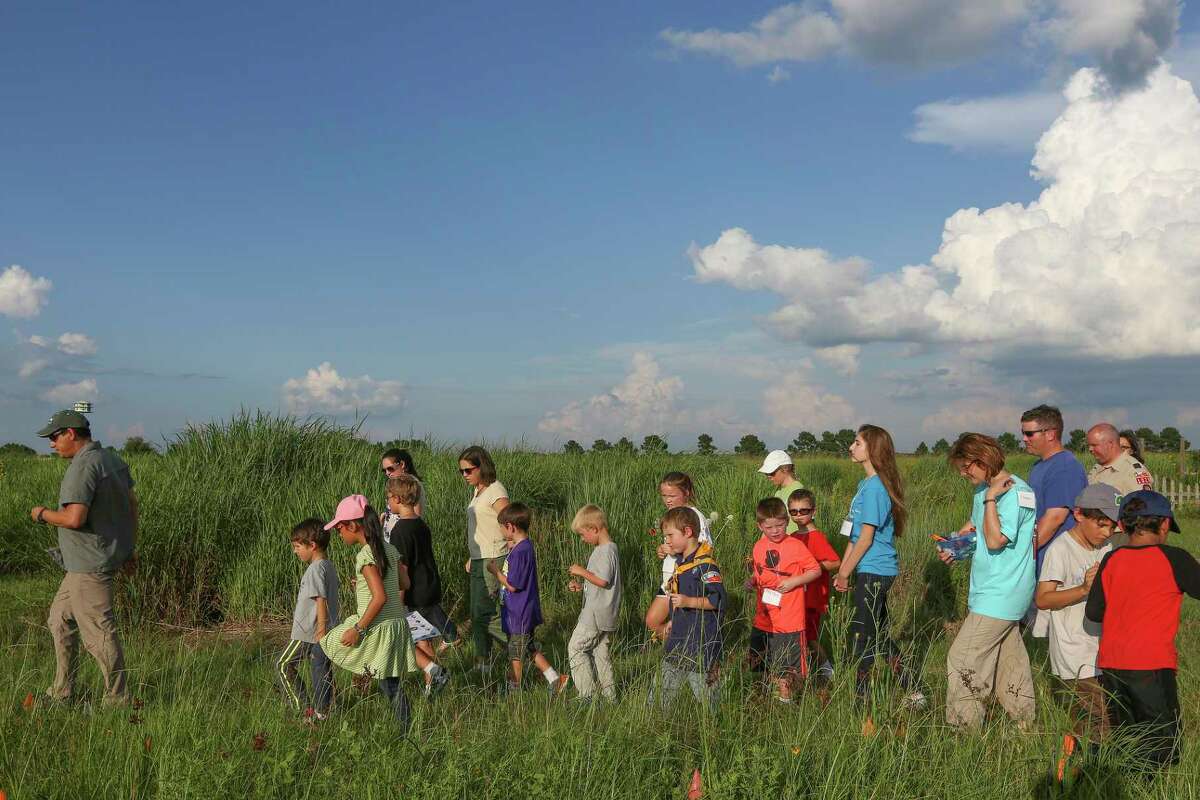 Houston is losing land cover - places like the Katy Prairie - which helps reduce flooding photographed Wednesday, June 29, 2016, in Waller. On this day, the Katy Prairie Conservancy instructor Jaime Gonzalez (left) was teaching kids about bees at their Indiangrass Preserve. ( Steve Gonzales / Houston Chronicle )