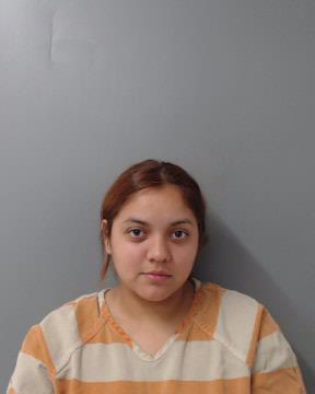 Woman had child in ATV during pursuit with Texas DPS - Vimarsana News