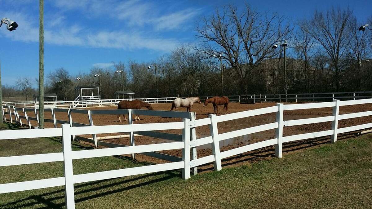 5 of the best places to go horseback riding near Houston