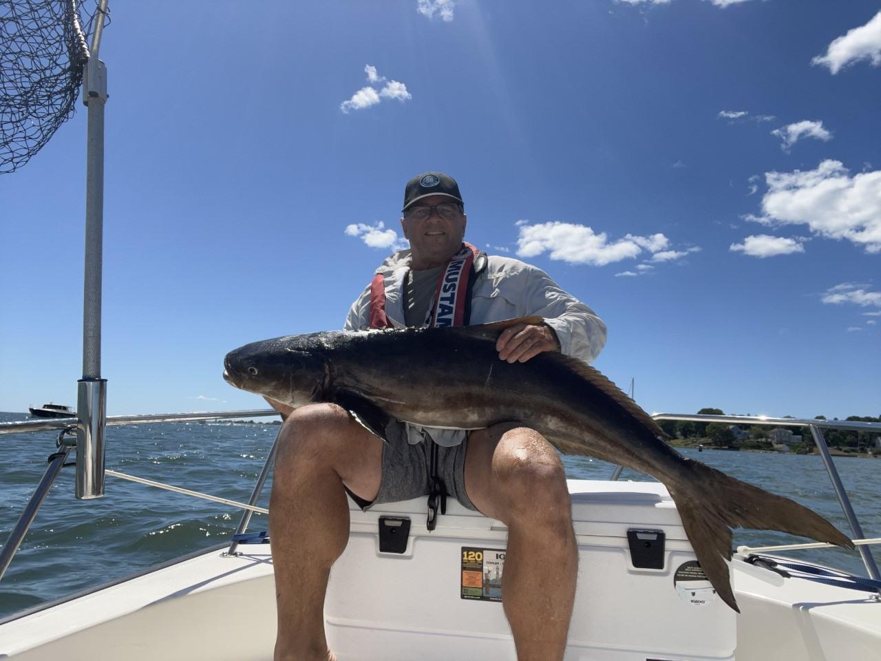 Rare Cobia Fish Caught In Long Island Sound Sets CT Record