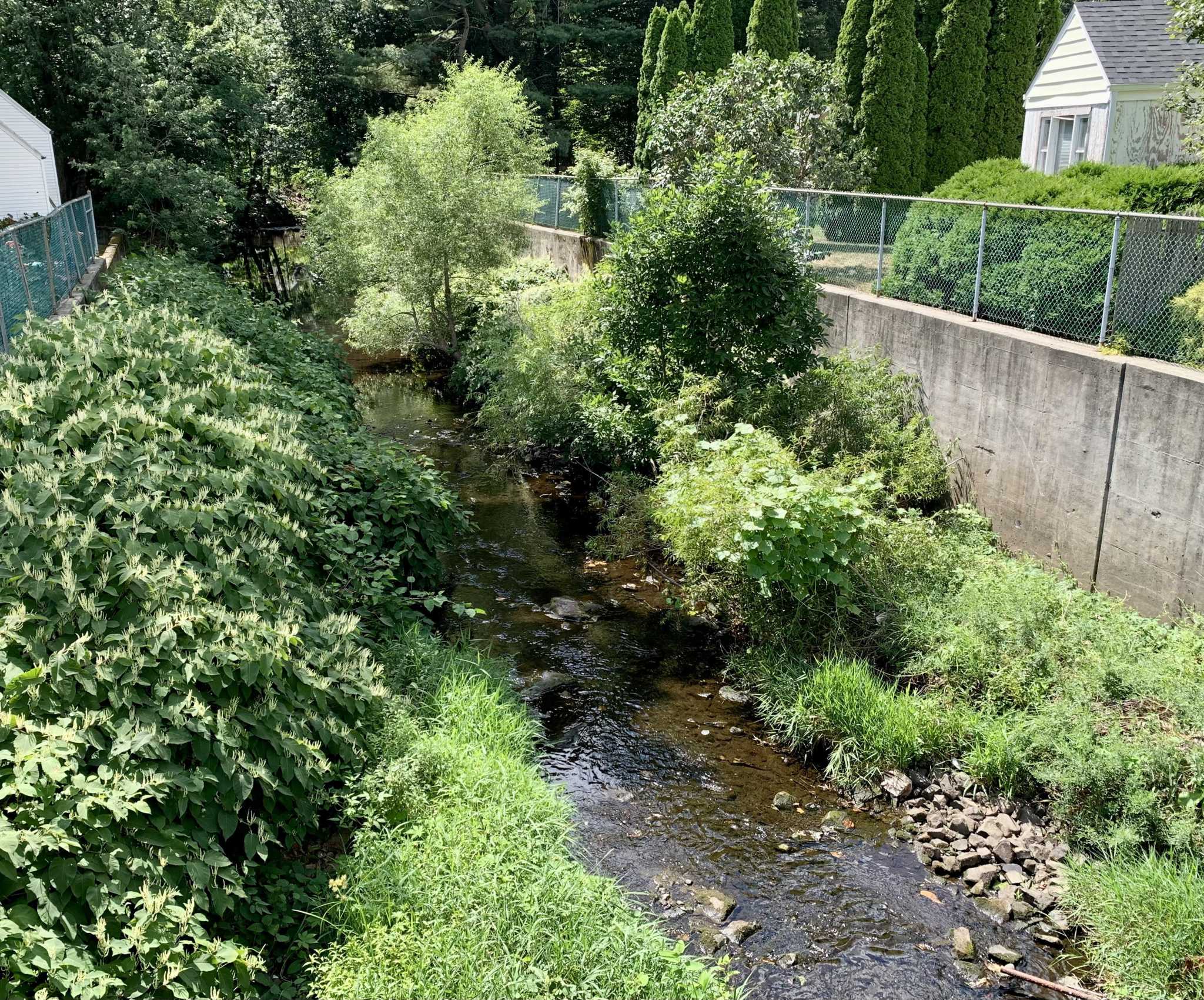 Fairfield looks to buy Villa Avenue property to reduce flooding - Vimarsana News