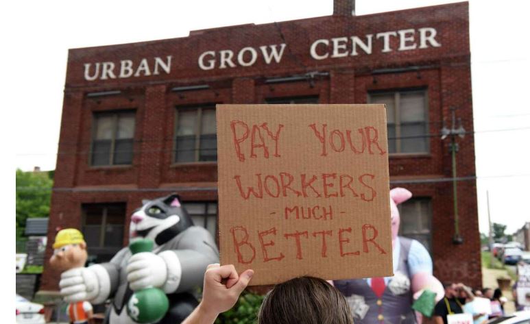 Citing union harassment Capital Roots food nonprofit cancels fundraising gala - Vimarsana News