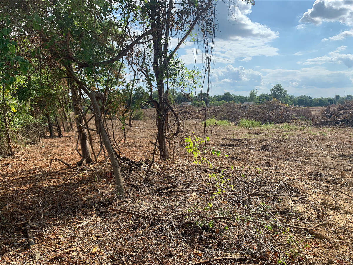A view of the missing segment of the treeline buffer on Wednesday. An HOA representative told Mayor Bob Marcus and the trustees Tuesday that they were assured pre-construction that 15 feet of treeline would remain.