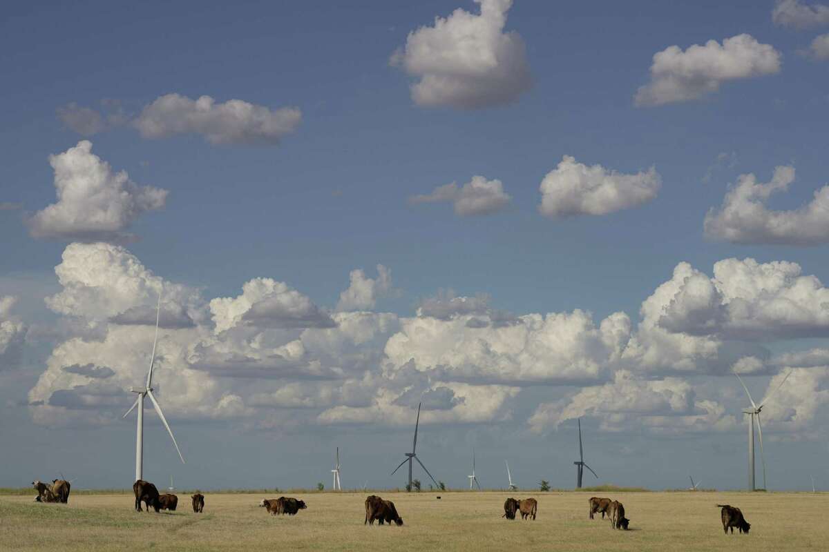 Wind turbines, such as these producing energy behind a cattle field in Mart, may soon be used to fuel the generation of so-called "green hydrogen."