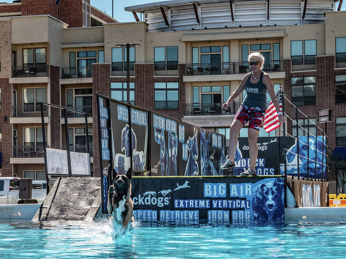 A dog competes in the Dock Dogs competition at Paws Fest 2021 in LaCenterra.