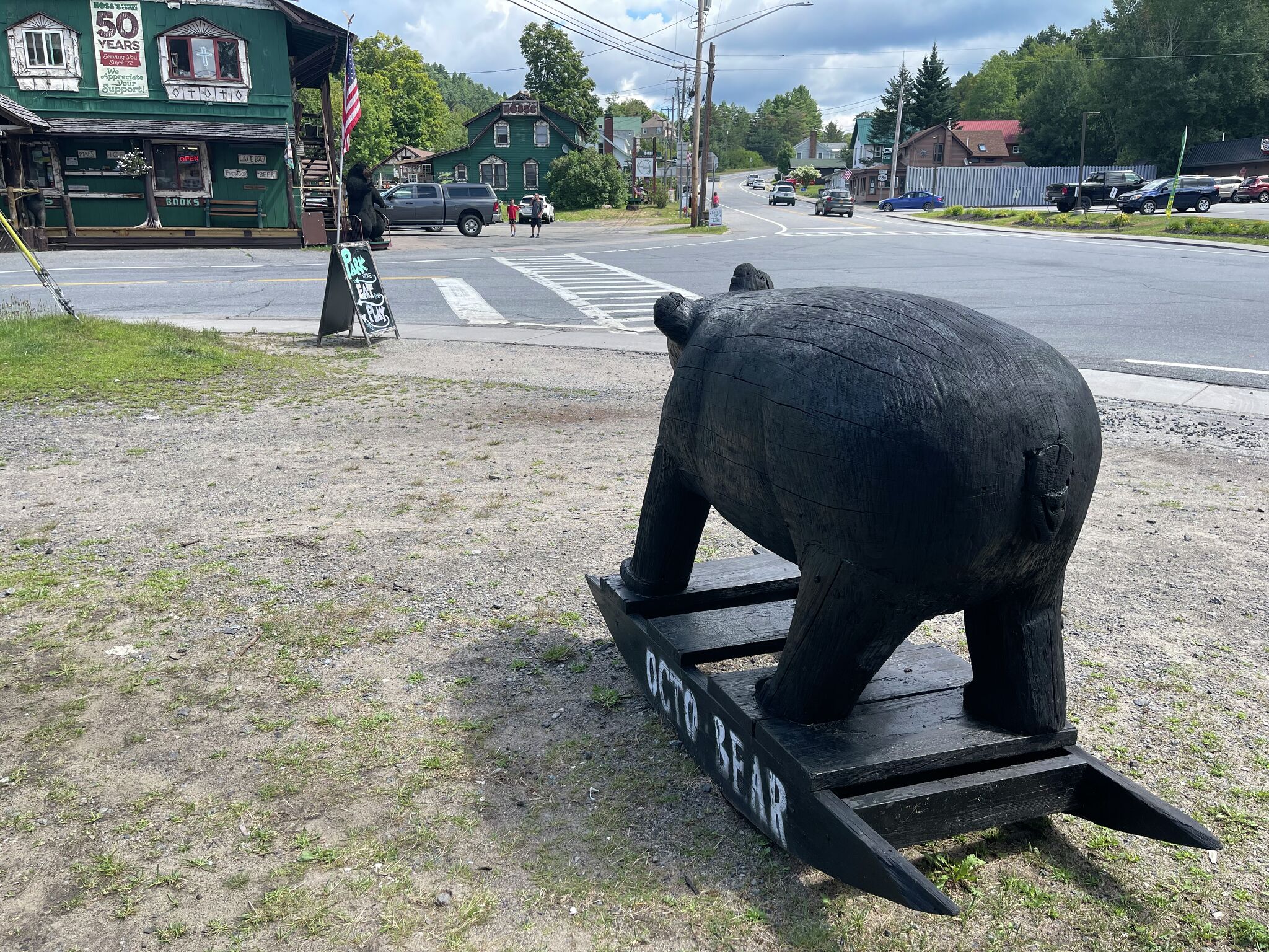 Is Long Lake euthanizing its bear-friendly image one creature at a time? - Times Union
