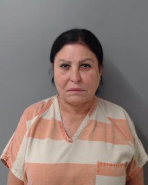 Affidavit: Woman harassed couple who bought her ex's house - Vimarsana News