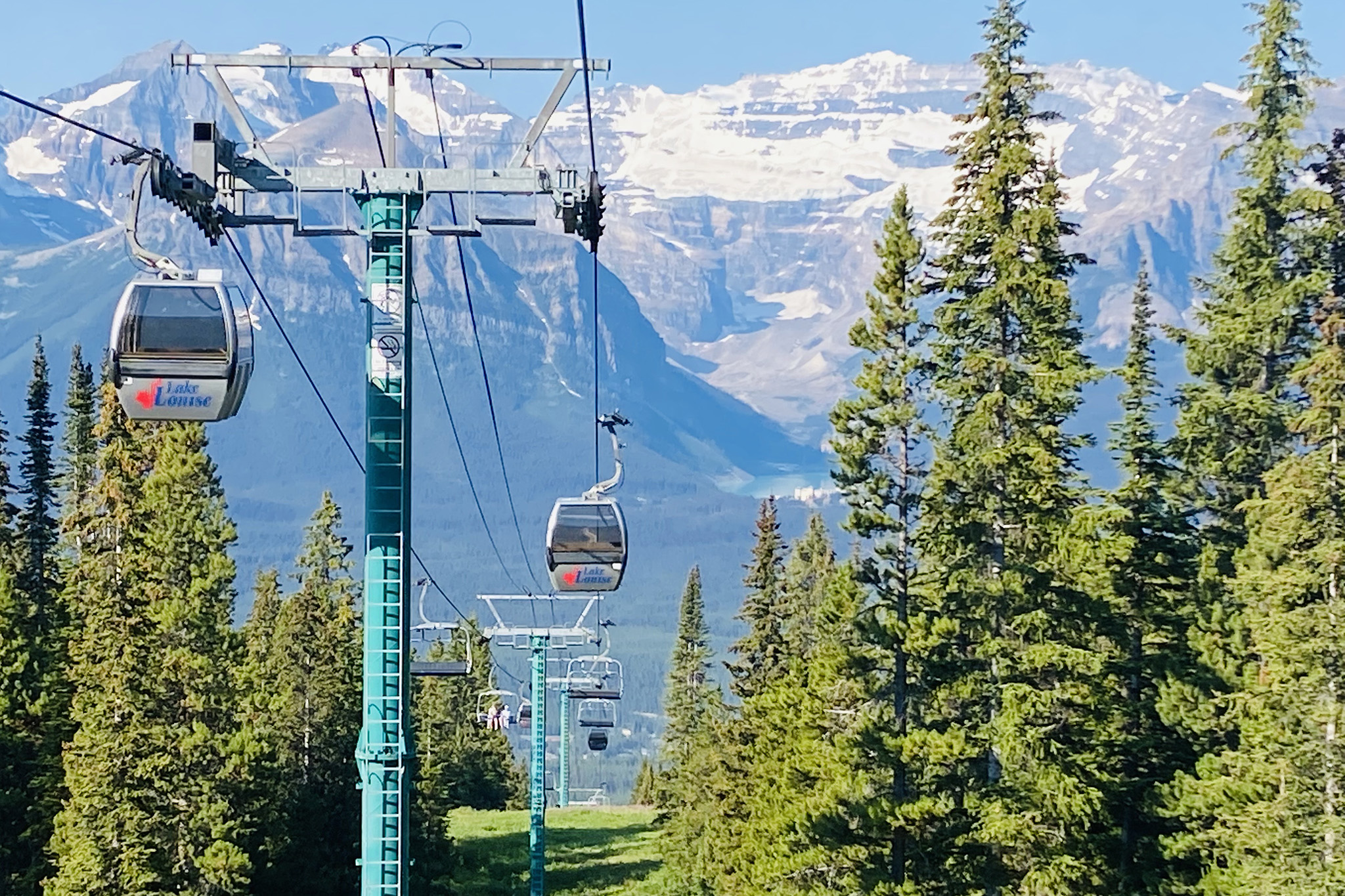 What it's like to look for grizzly bears in Banff and Jasper