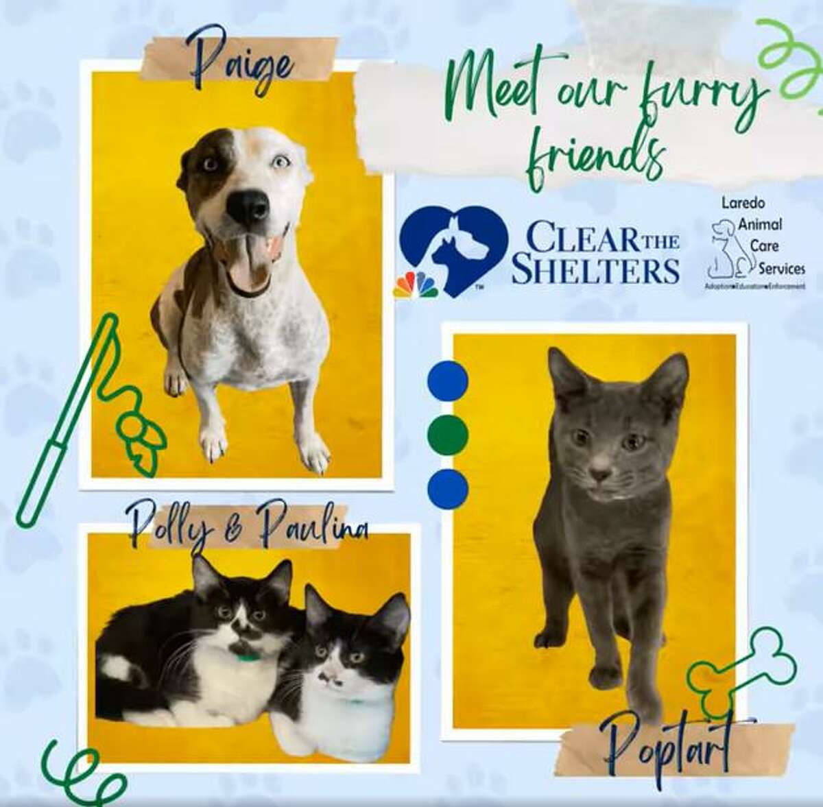 El evento Clear the Shelters Day 2022, se llevará a cabo el sábado 27 de agosto en las instalaciones de Laredo Animal Care Services, 5202 Maher Ave. Las adopciones de mascotas serán totalmente gratuitas durante ese día.
