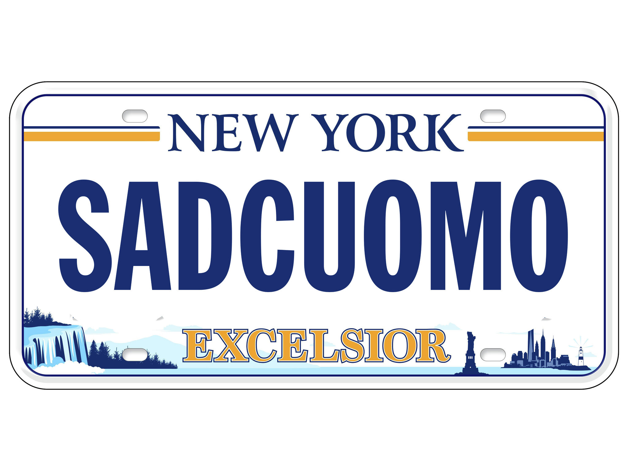 New York DMV rejected 1,000+ custom license plates in 2022 - Vimarsana News