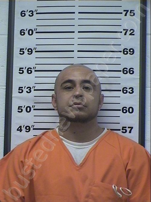 Felon in the country illegally sentenced for possessing firearm
