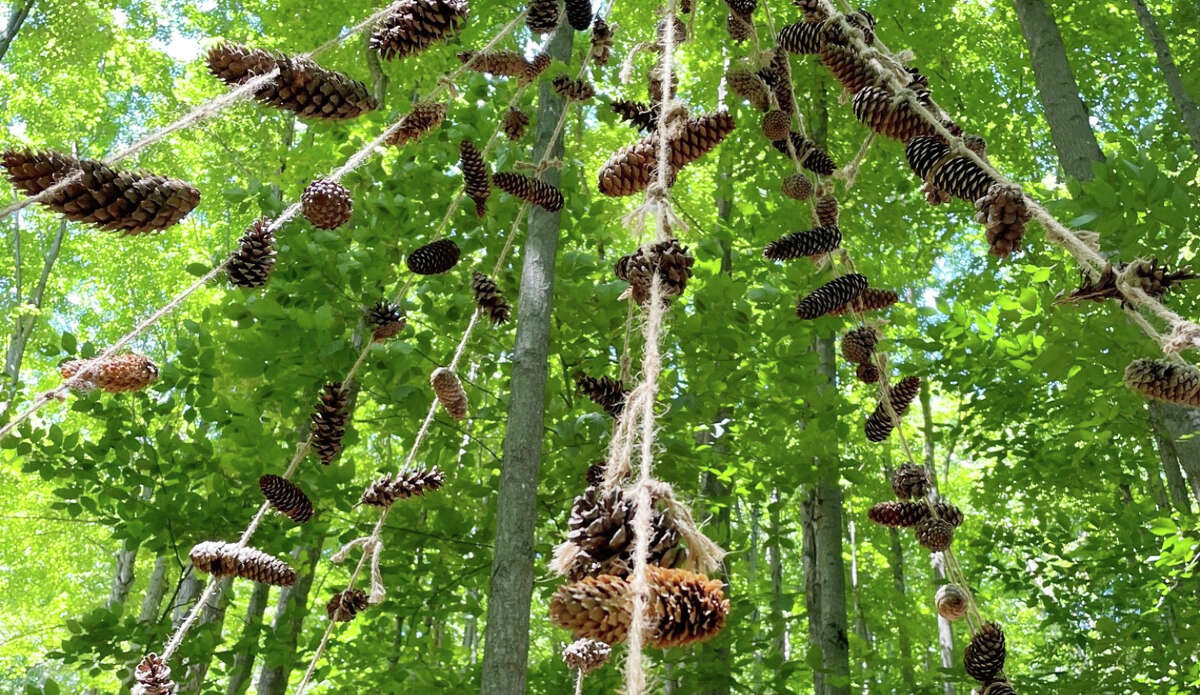 The Pine Cone Forest explores Michigan’s people and their connection to the forests of the state. It will be revieled to the public during an event on Sept. 1 at Michigan Legacy Art Park.
